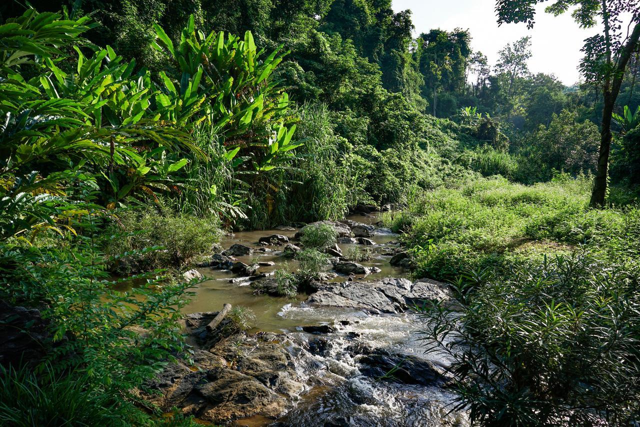 Phutarntree Resort Chiang Mai Buitenkant foto