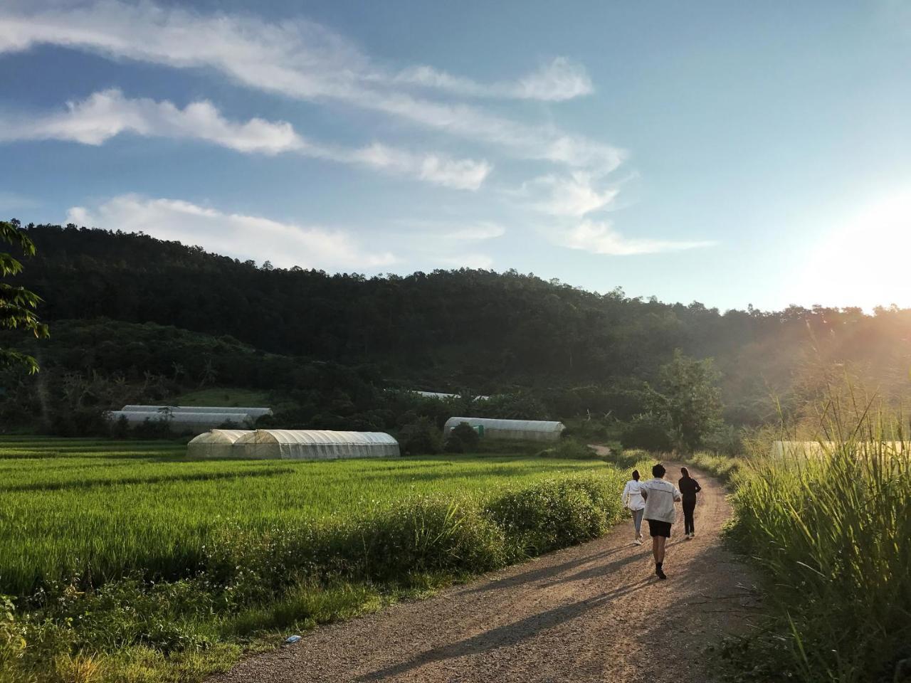 Phutarntree Resort Chiang Mai Buitenkant foto