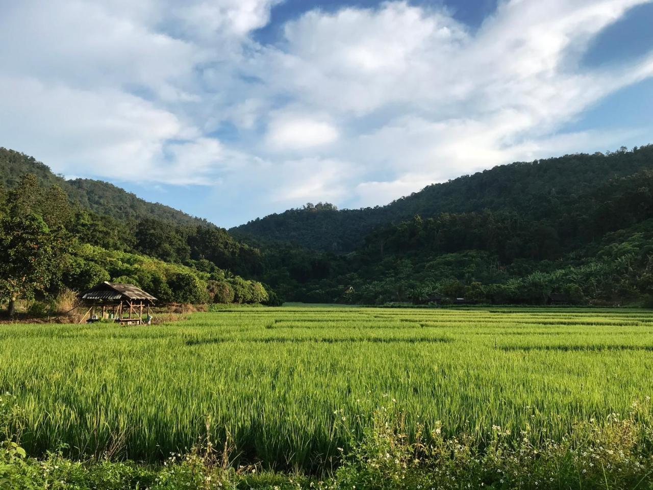 Phutarntree Resort Chiang Mai Buitenkant foto