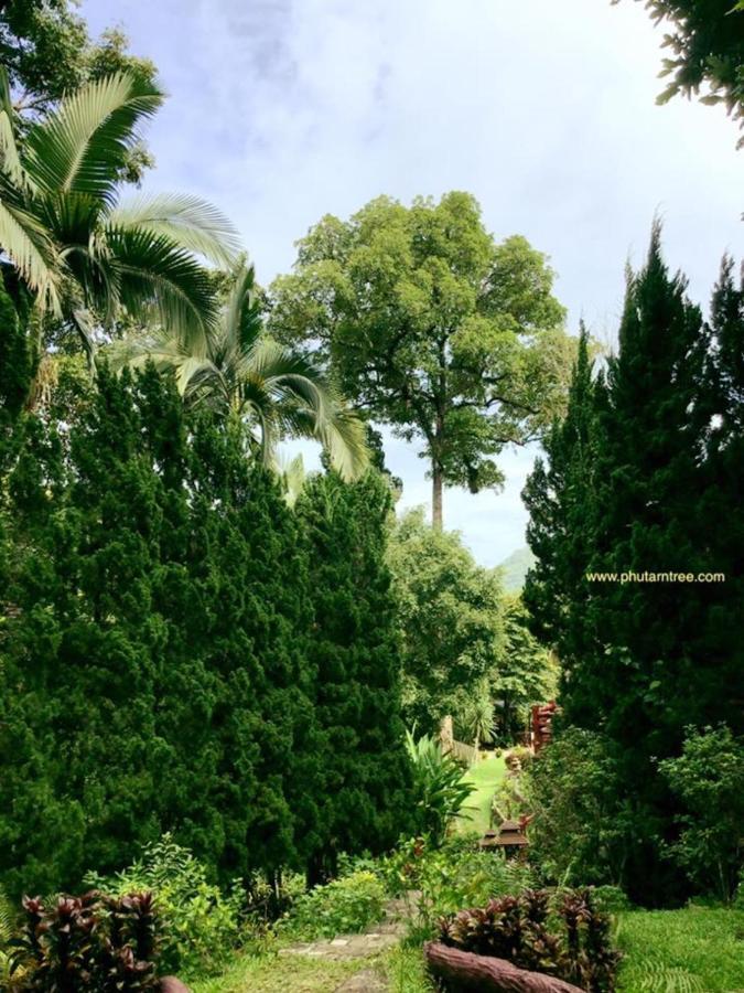 Phutarntree Resort Chiang Mai Buitenkant foto