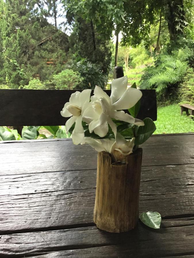 Phutarntree Resort Chiang Mai Buitenkant foto